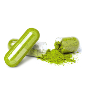 Venta de moringa en Monterrey