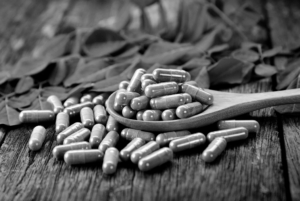 Venta de moringa en Monterrey