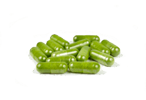 Venta de moringa en Monterrey