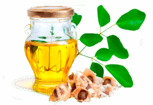 Venta de moringa en Monterrey